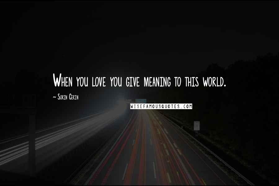 Sorin Cerin Quotes: When you love you give meaning to this world.