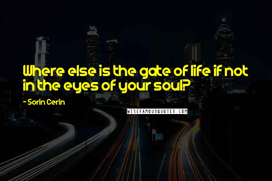 Sorin Cerin Quotes: Where else is the gate of life if not in the eyes of your soul?
