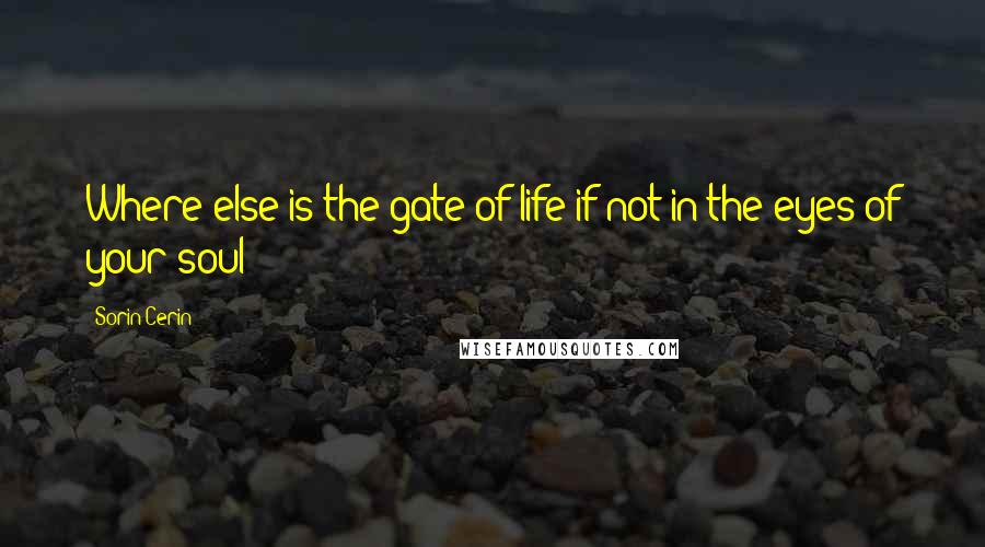 Sorin Cerin Quotes: Where else is the gate of life if not in the eyes of your soul?