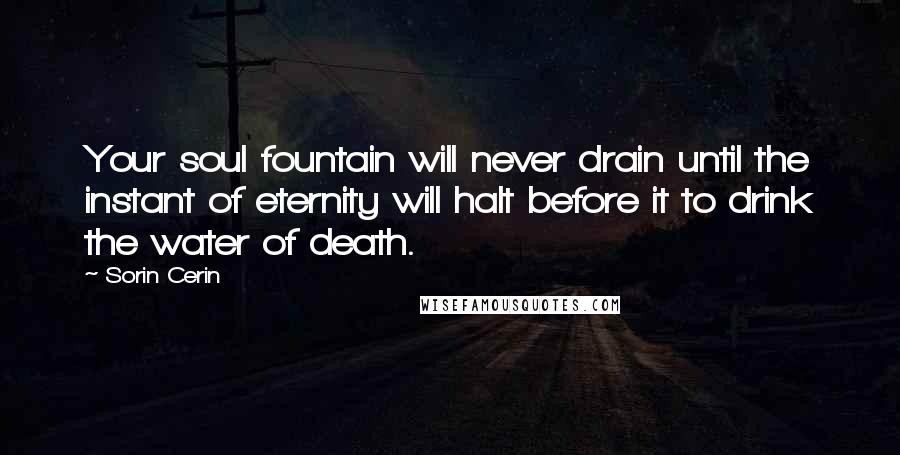 Sorin Cerin Quotes: Your soul fountain will never drain until the instant of eternity will halt before it to drink the water of death.