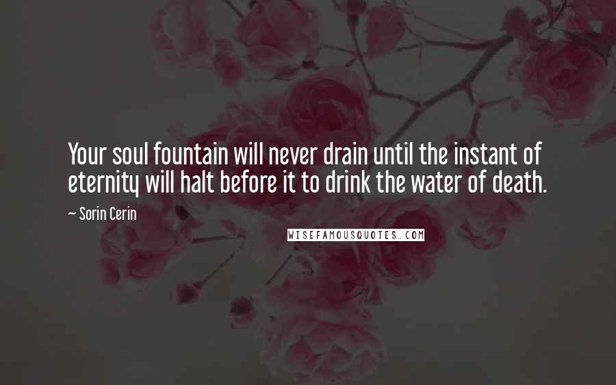 Sorin Cerin Quotes: Your soul fountain will never drain until the instant of eternity will halt before it to drink the water of death.