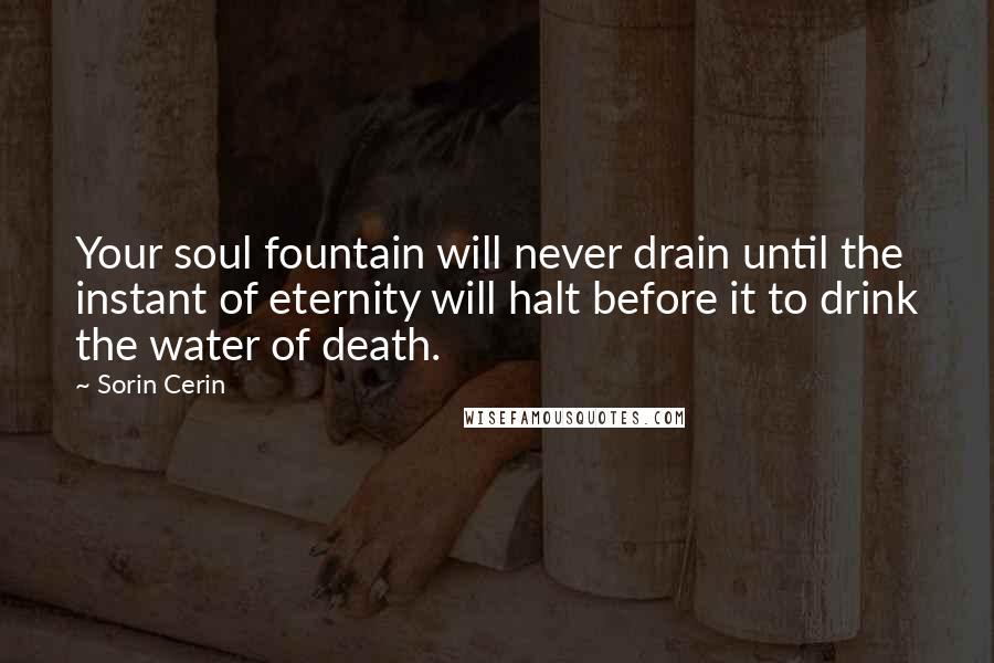 Sorin Cerin Quotes: Your soul fountain will never drain until the instant of eternity will halt before it to drink the water of death.