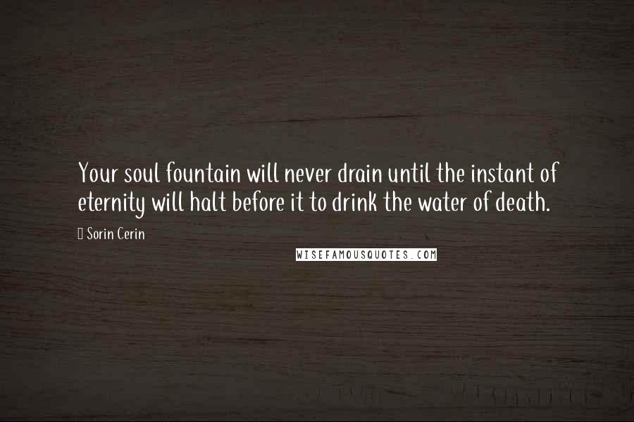 Sorin Cerin Quotes: Your soul fountain will never drain until the instant of eternity will halt before it to drink the water of death.