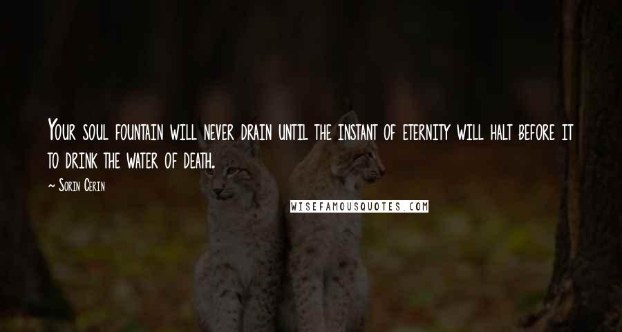 Sorin Cerin Quotes: Your soul fountain will never drain until the instant of eternity will halt before it to drink the water of death.