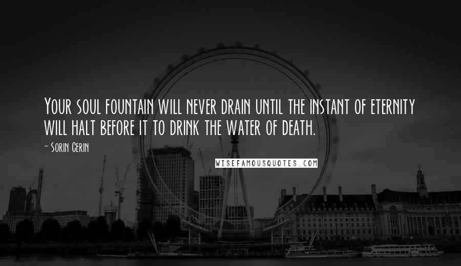 Sorin Cerin Quotes: Your soul fountain will never drain until the instant of eternity will halt before it to drink the water of death.