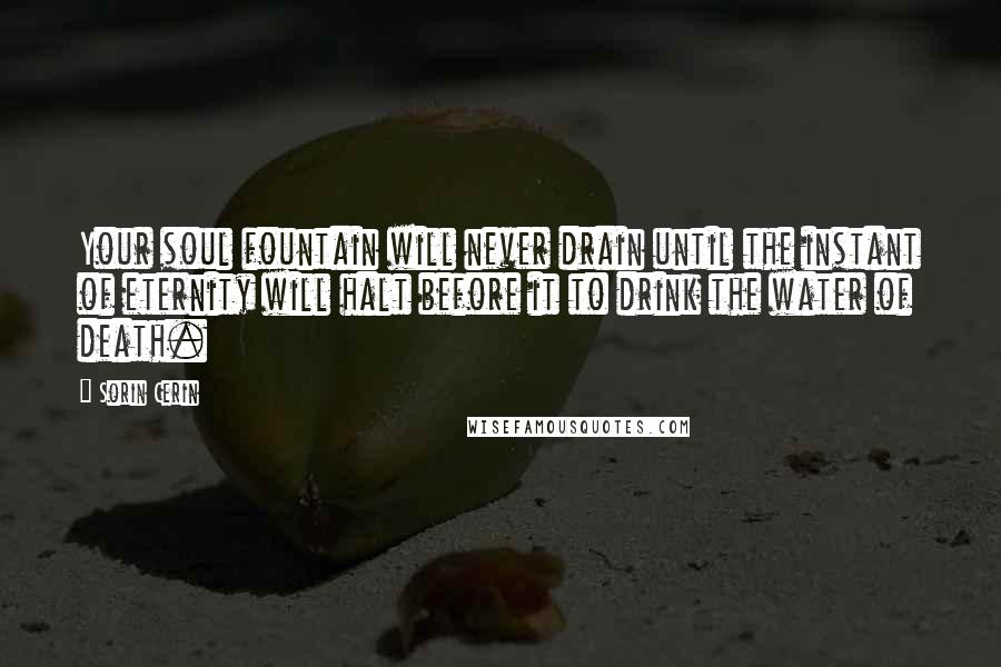 Sorin Cerin Quotes: Your soul fountain will never drain until the instant of eternity will halt before it to drink the water of death.