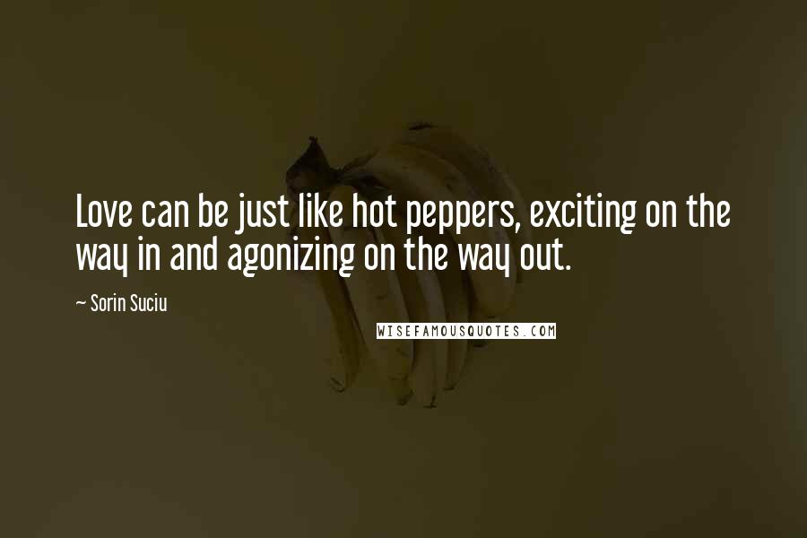 Sorin Suciu Quotes: Love can be just like hot peppers, exciting on the way in and agonizing on the way out.