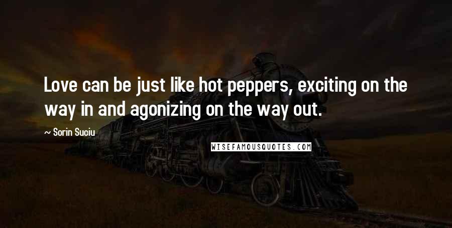 Sorin Suciu Quotes: Love can be just like hot peppers, exciting on the way in and agonizing on the way out.