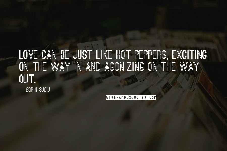 Sorin Suciu Quotes: Love can be just like hot peppers, exciting on the way in and agonizing on the way out.