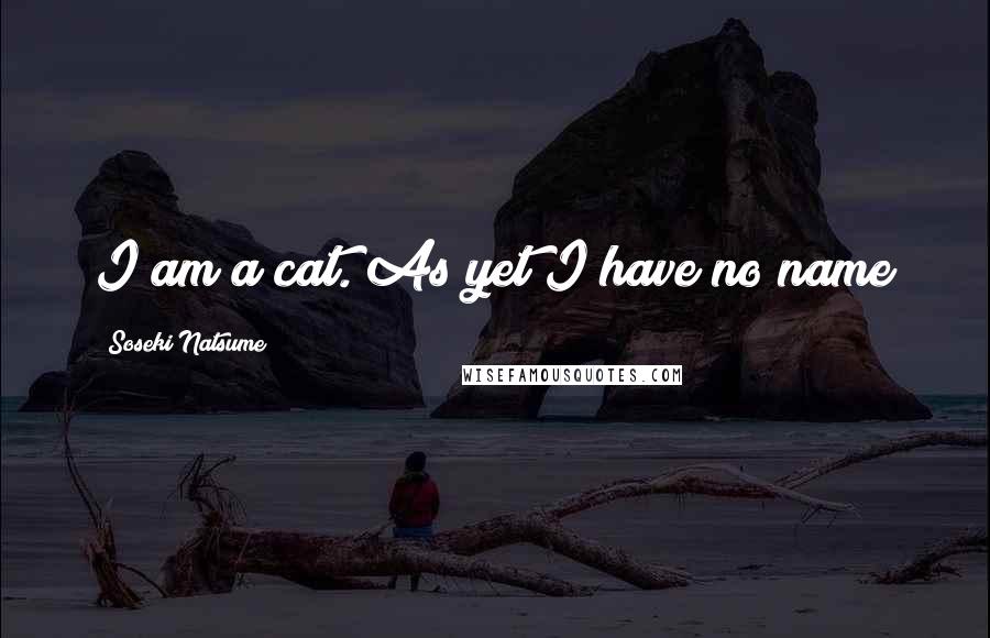 Soseki Natsume Quotes: I am a cat. As yet I have no name