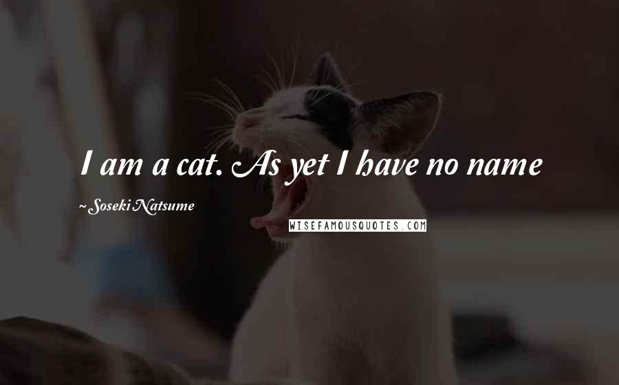 Soseki Natsume Quotes: I am a cat. As yet I have no name