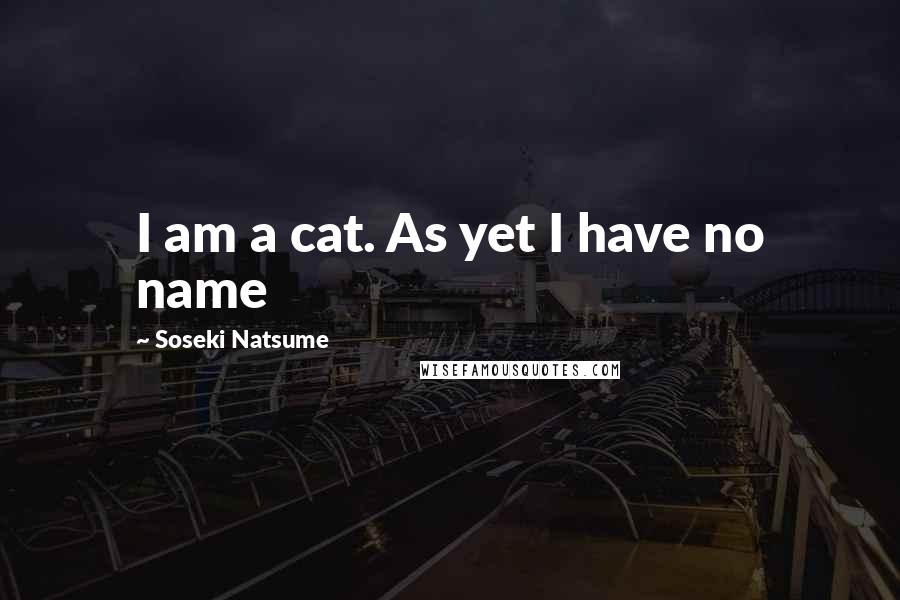 Soseki Natsume Quotes: I am a cat. As yet I have no name