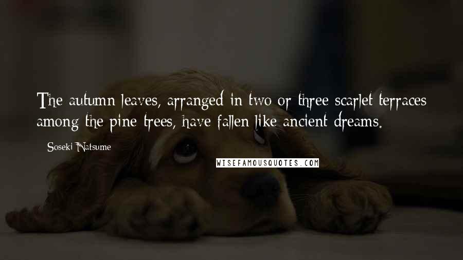 Soseki Natsume Quotes: The autumn leaves, arranged in two or three scarlet terraces among the pine-trees, have fallen like ancient dreams.