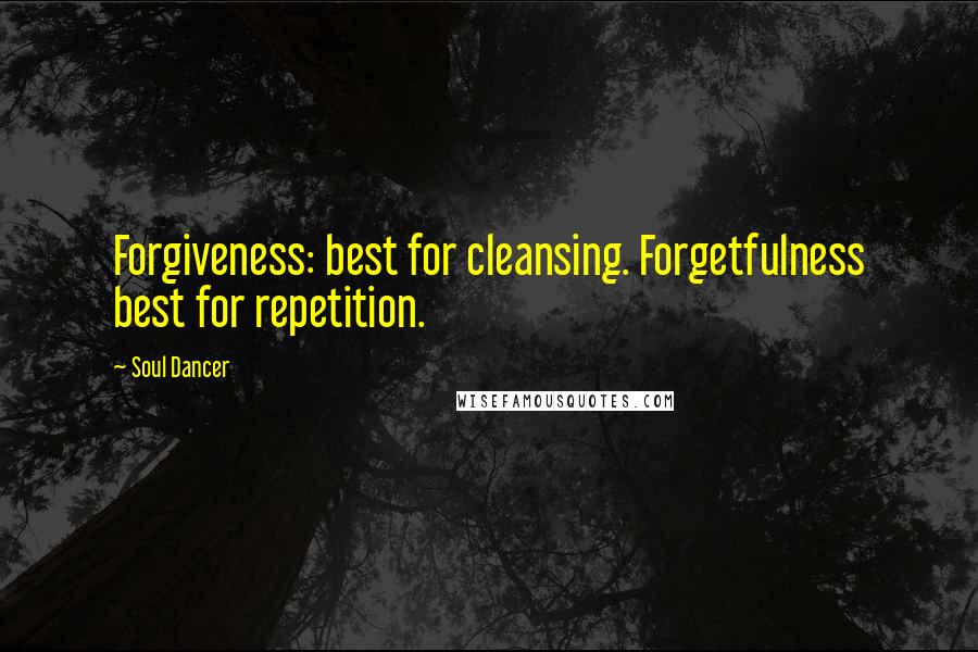 Soul Dancer Quotes: Forgiveness: best for cleansing. Forgetfulness best for repetition.