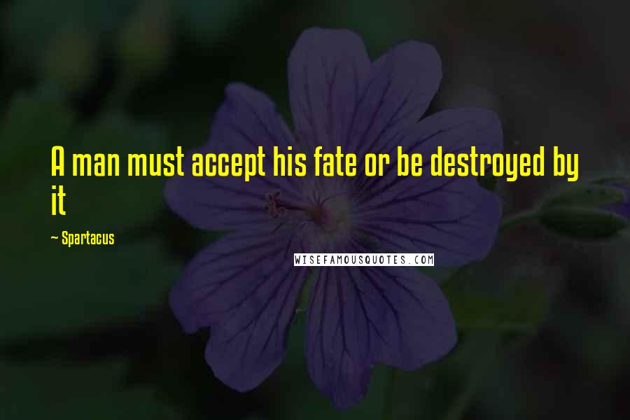 Spartacus Quotes: A man must accept his fate or be destroyed by it