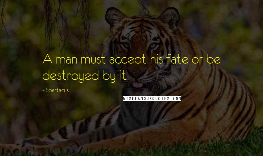 Spartacus Quotes: A man must accept his fate or be destroyed by it