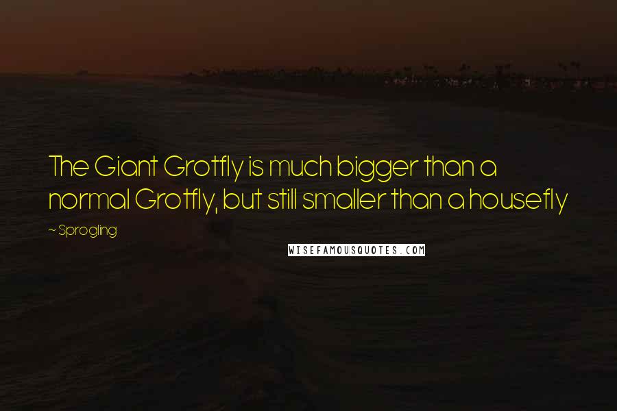 Sprogling Quotes: The Giant Grotfly is much bigger than a normal Grotfly, but still smaller than a housefly