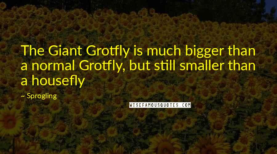 Sprogling Quotes: The Giant Grotfly is much bigger than a normal Grotfly, but still smaller than a housefly