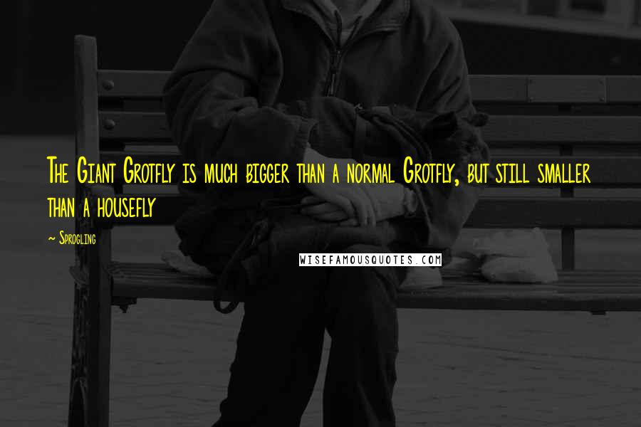 Sprogling Quotes: The Giant Grotfly is much bigger than a normal Grotfly, but still smaller than a housefly