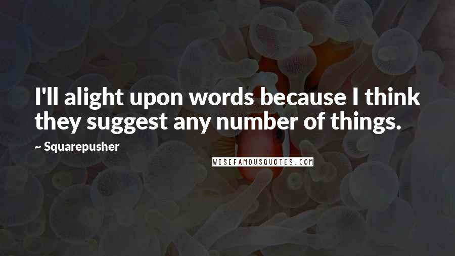 Squarepusher Quotes: I'll alight upon words because I think they suggest any number of things.