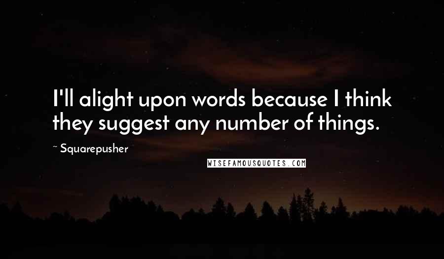 Squarepusher Quotes: I'll alight upon words because I think they suggest any number of things.