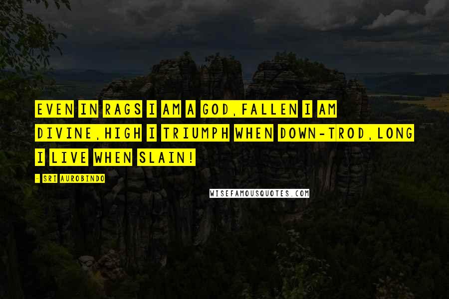 Sri Aurobindo Quotes: Even in rags I am a god,fallen I am divine,high I triumph when down-trod,long I live when slain!