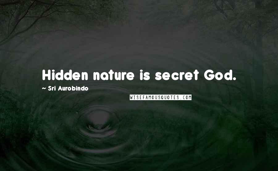 Sri Aurobindo Quotes: Hidden nature is secret God.