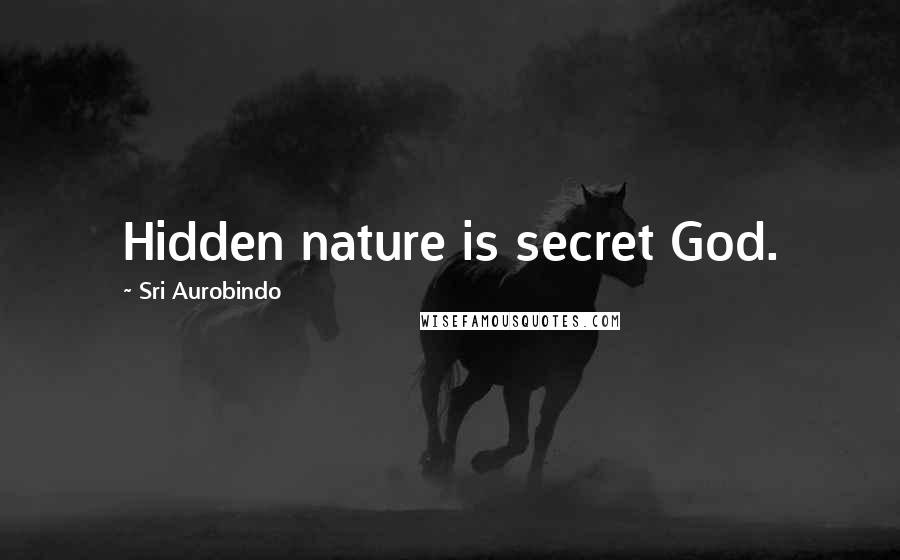 Sri Aurobindo Quotes: Hidden nature is secret God.