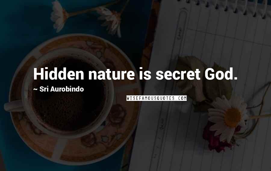 Sri Aurobindo Quotes: Hidden nature is secret God.