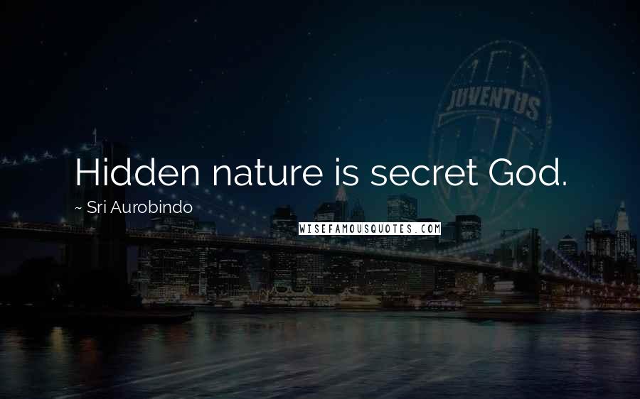 Sri Aurobindo Quotes: Hidden nature is secret God.