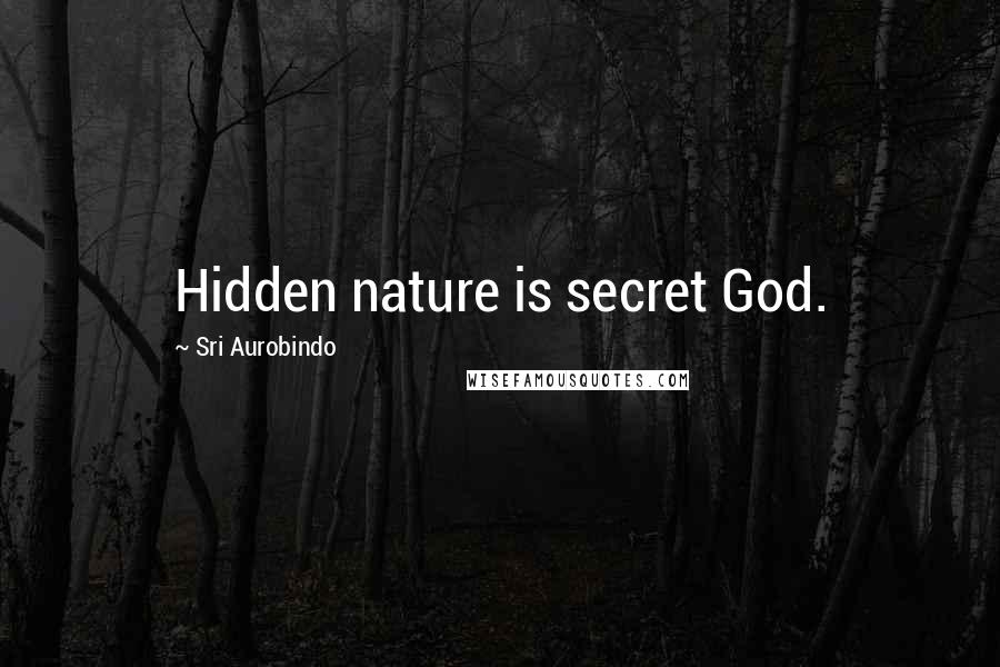 Sri Aurobindo Quotes: Hidden nature is secret God.