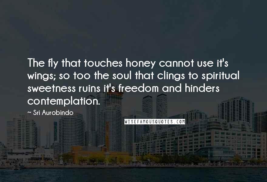 Sri Aurobindo Quotes: The fly that touches honey cannot use it's wings; so too the soul that clings to spiritual sweetness ruins it's freedom and hinders contemplation.