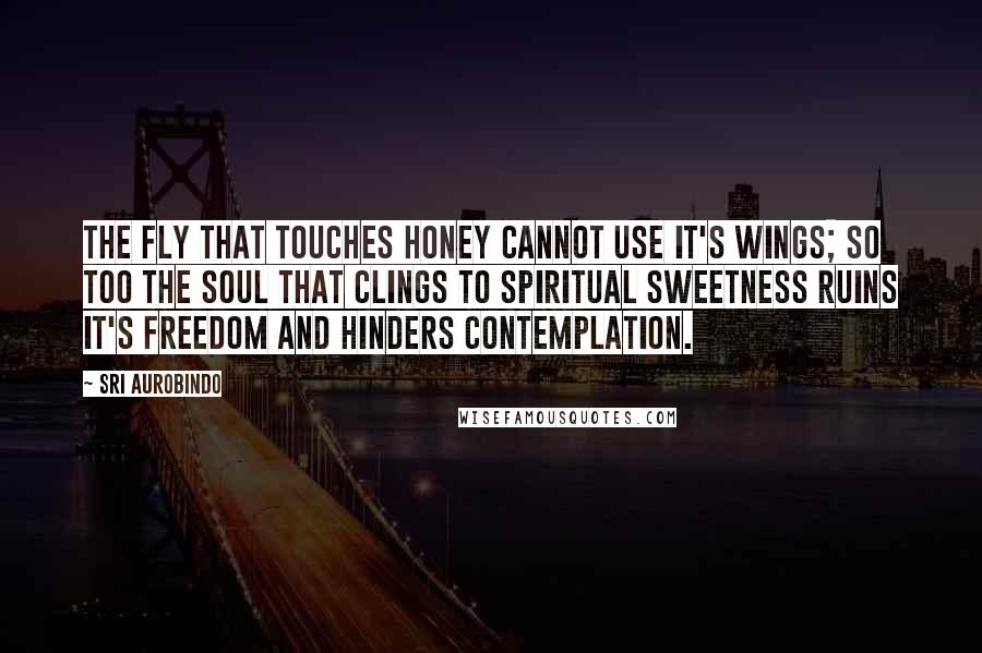 Sri Aurobindo Quotes: The fly that touches honey cannot use it's wings; so too the soul that clings to spiritual sweetness ruins it's freedom and hinders contemplation.