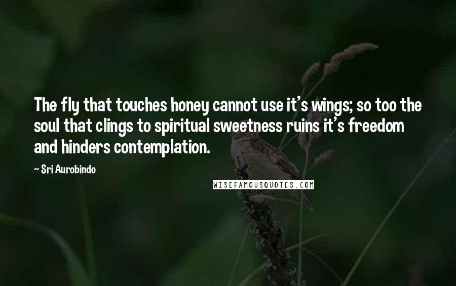 Sri Aurobindo Quotes: The fly that touches honey cannot use it's wings; so too the soul that clings to spiritual sweetness ruins it's freedom and hinders contemplation.