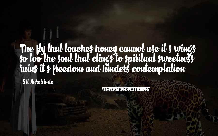 Sri Aurobindo Quotes: The fly that touches honey cannot use it's wings; so too the soul that clings to spiritual sweetness ruins it's freedom and hinders contemplation.