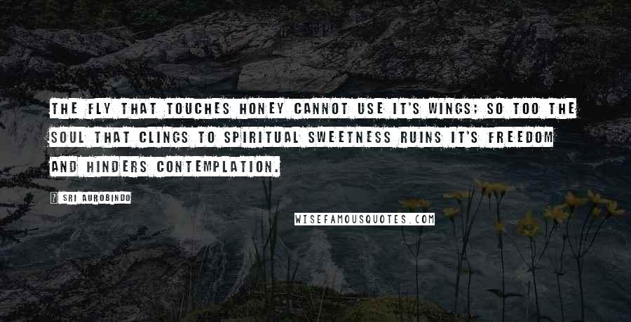 Sri Aurobindo Quotes: The fly that touches honey cannot use it's wings; so too the soul that clings to spiritual sweetness ruins it's freedom and hinders contemplation.