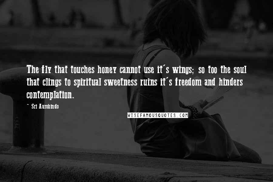 Sri Aurobindo Quotes: The fly that touches honey cannot use it's wings; so too the soul that clings to spiritual sweetness ruins it's freedom and hinders contemplation.
