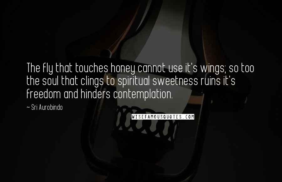 Sri Aurobindo Quotes: The fly that touches honey cannot use it's wings; so too the soul that clings to spiritual sweetness ruins it's freedom and hinders contemplation.