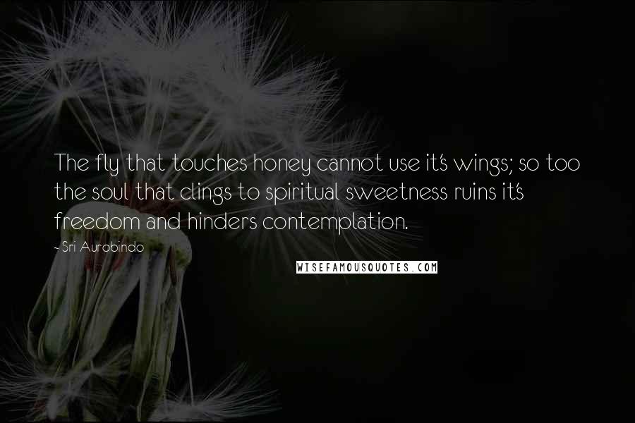 Sri Aurobindo Quotes: The fly that touches honey cannot use it's wings; so too the soul that clings to spiritual sweetness ruins it's freedom and hinders contemplation.