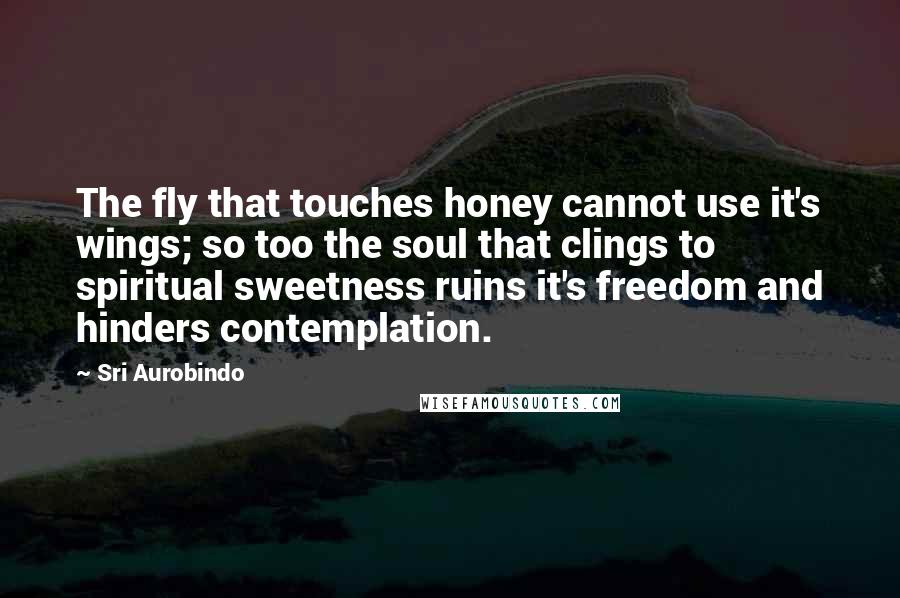 Sri Aurobindo Quotes: The fly that touches honey cannot use it's wings; so too the soul that clings to spiritual sweetness ruins it's freedom and hinders contemplation.