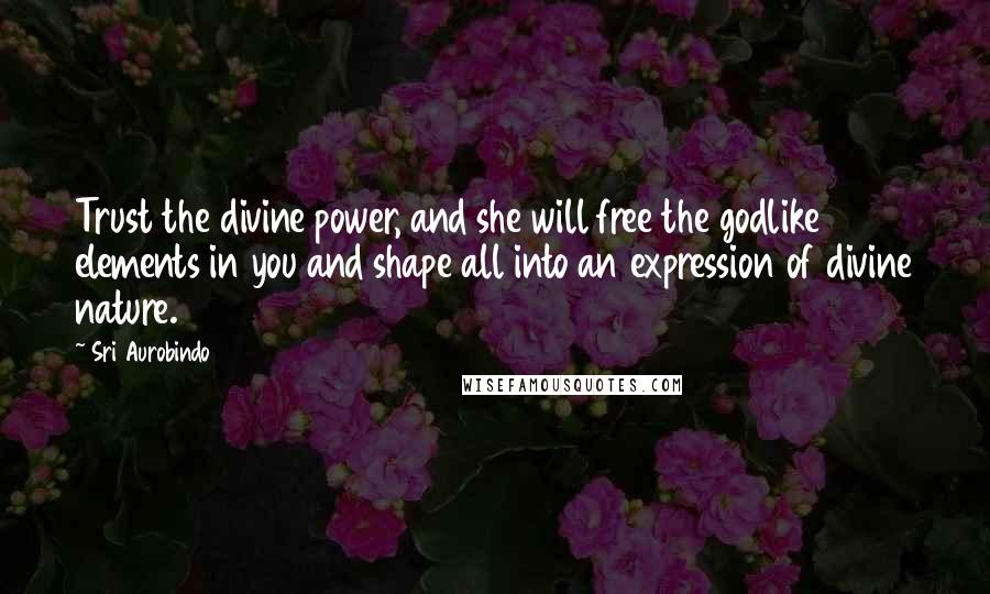 Sri Aurobindo Quotes: Trust the divine power, and she will free the godlike elements in you and shape all into an expression of divine nature.