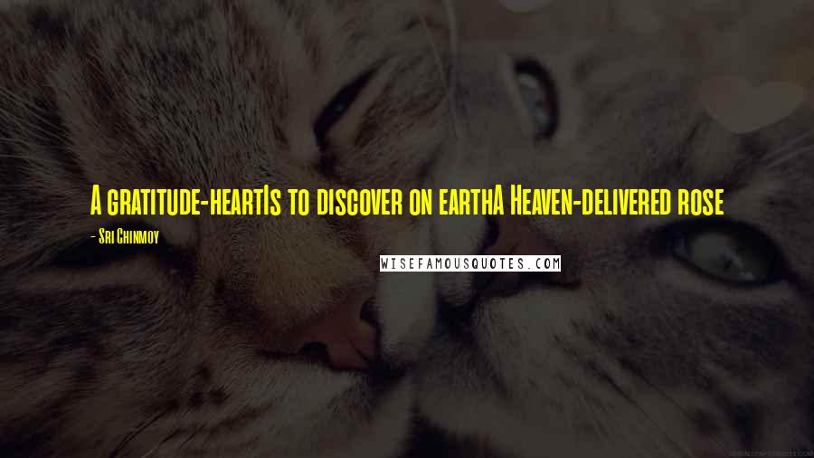 Sri Chinmoy Quotes: A gratitude-heartIs to discover on earthA Heaven-delivered rose