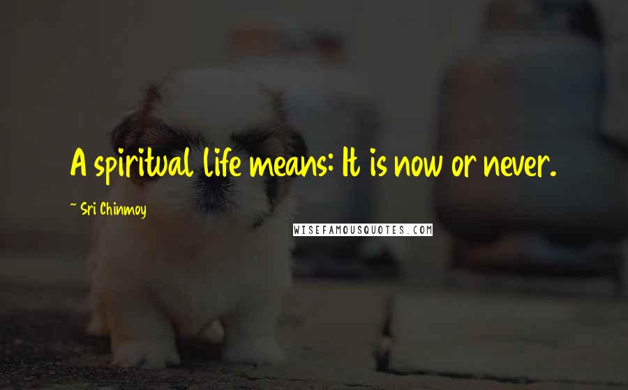 Sri Chinmoy Quotes: A spiritual life means: It is now or never.