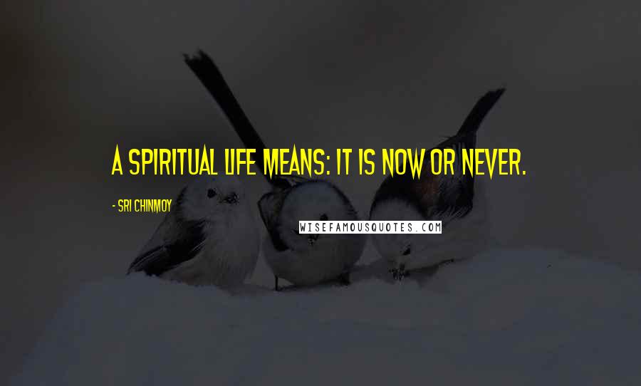 Sri Chinmoy Quotes: A spiritual life means: It is now or never.