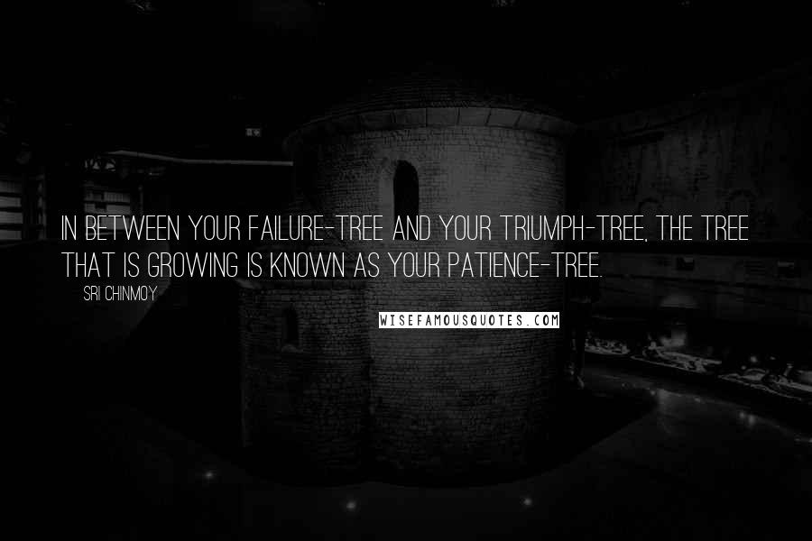 Sri Chinmoy Quotes: In between your failure-tree And your triumph-tree, The tree that is growing Is known as your patience-tree.