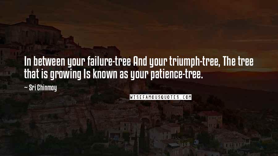 Sri Chinmoy Quotes: In between your failure-tree And your triumph-tree, The tree that is growing Is known as your patience-tree.