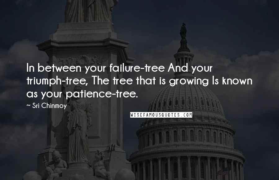 Sri Chinmoy Quotes: In between your failure-tree And your triumph-tree, The tree that is growing Is known as your patience-tree.