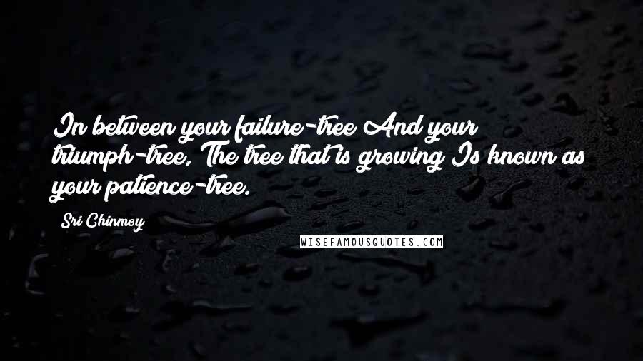 Sri Chinmoy Quotes: In between your failure-tree And your triumph-tree, The tree that is growing Is known as your patience-tree.