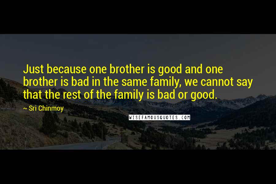 Sri Chinmoy Quotes: Just because one brother is good and one brother is bad in the same family, we cannot say that the rest of the family is bad or good.