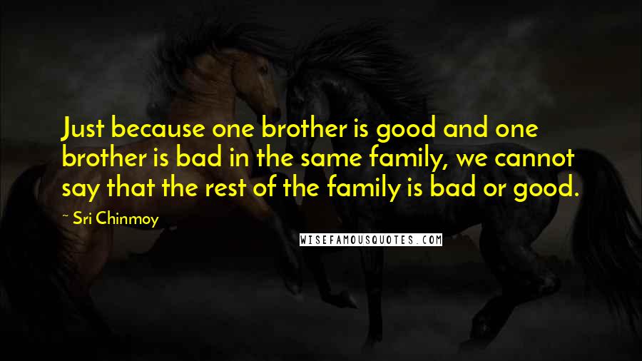 Sri Chinmoy Quotes: Just because one brother is good and one brother is bad in the same family, we cannot say that the rest of the family is bad or good.
